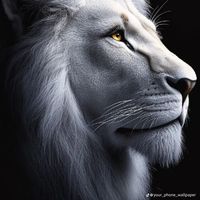 оригинальный звук - Умеджон