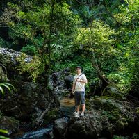 nhạc nền - Tour Măng Đen Xanh Travel