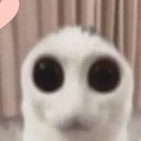 avimishi