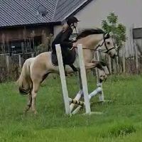 tillyxxspams