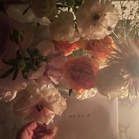 nlife24_