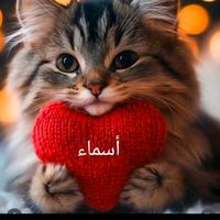 asmaa.jabari