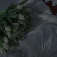 لا تتوقف عن السعي