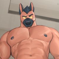 aza.furry5
