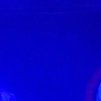 suara asli - JAGOAN PAPA 🥷🏽