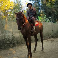 xtunnaingaung71
