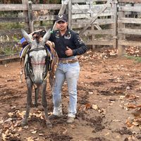 danilo_vaqueiro05