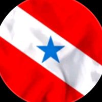marcantesparaense7