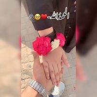 hamzaamna6