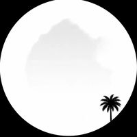 _palmtravels