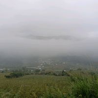 aa0983395937