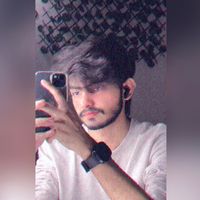 solo_bear12