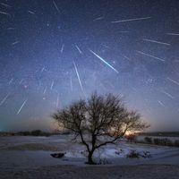 nhạc nền - muabang04