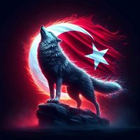 54yaslikurt