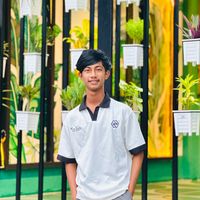 limon_vai96