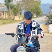 original sound - amox685