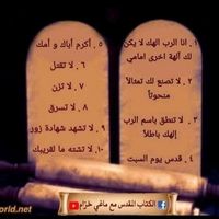 soulafleifel_hollybible