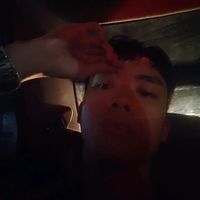 ovlarec_planchepushups