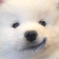 aichxy