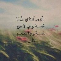 q8ili7