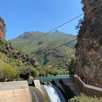 ayoub_el_bacha99