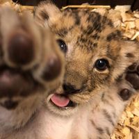 temporada_de_diciembre