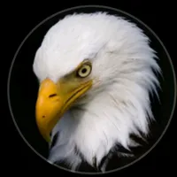 original sound - jklover348