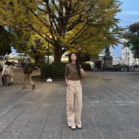 nhạc nền - Pi 🌻