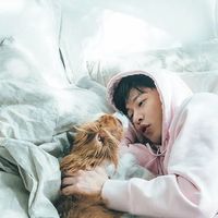 nz_kei
