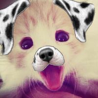 starzsy__