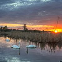 оригинальный звук