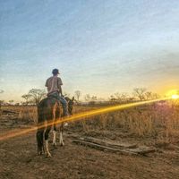 lucascowboy_uaii