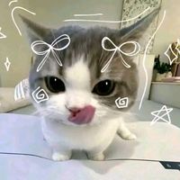 su.bu94