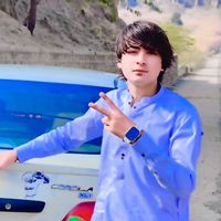 salmangull073