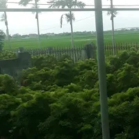 original sound - ly_ti.nh