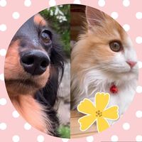 ronronbetty