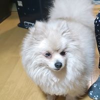 オリジナル楽曲 - 介護士の アキラ 本垢🍓🐈‍⬛ ͗