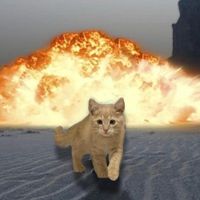 im_a_tiger03