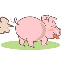 suara asli - ega