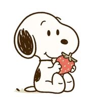 rxxs._.key2