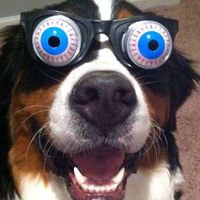 オリジナル楽曲 - Syuuku