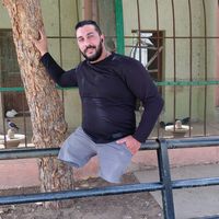 mohamedhashem5682