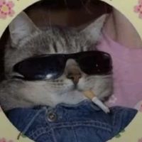 оригинальный звук