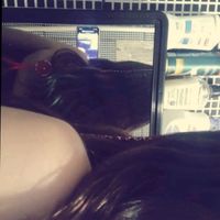 oie.aniii