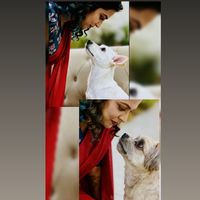 taniyaariyarathne