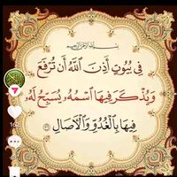 mohammed1977b
