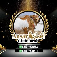 ansaricattlefarm
