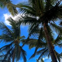 magdaly.abad