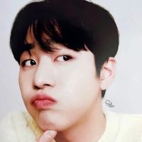 hhysp95