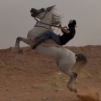 الصوت الأصلي